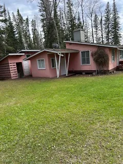 The lot: lawn and tall spruce around the cabin